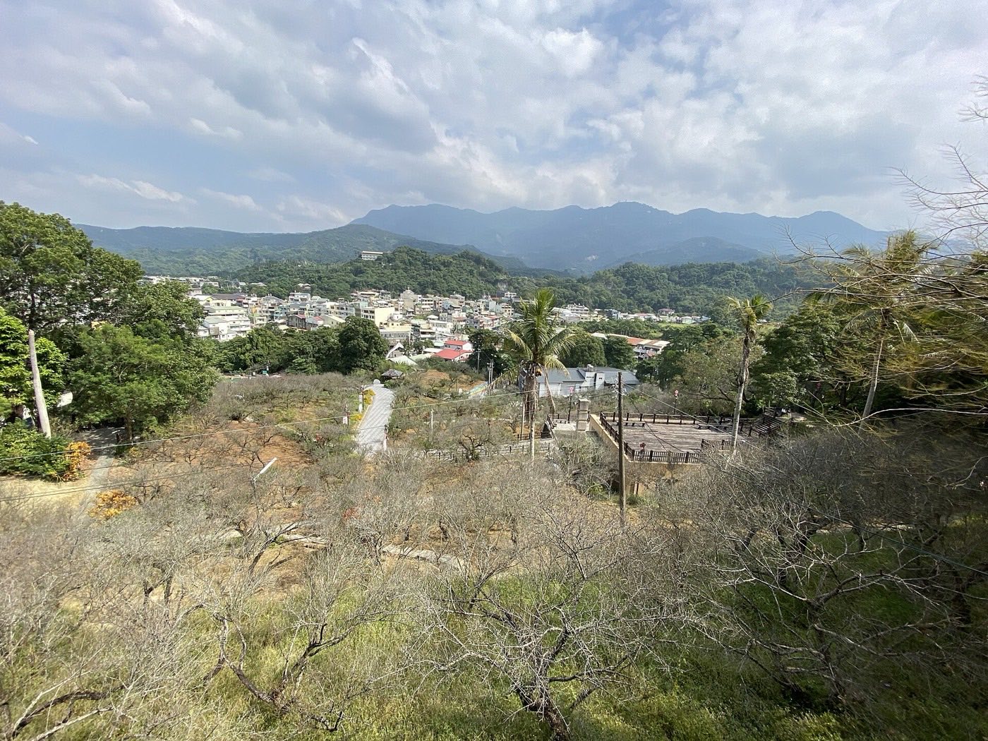 嘉義梅山公園另一角度的園區景觀